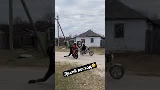 Восход vs альфа | лютая Заруба) #восход #shorts #альфа