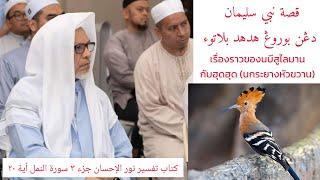 เรื่องราวของนบีสูไลมานกับนกกะรางหัวขวาน | Kisah Nabi Sulaiman Dengan Burung Hudhud Belatuk