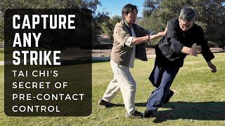 Capture Any Strike: Tai Chi's Secret Hidden Inside Push Hands Practice