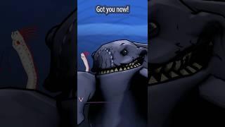 Bloop takes a break with Oarfish
