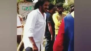 Mari tiger and uppi