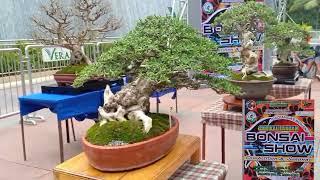 Dadiangas Bonsai Enthusiasts Association 2nd Kalilangan Bonsai Show 2022