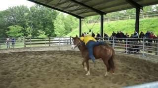 Patada de caballo a Chico Ramírez