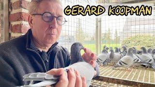 Gerard Koopman Racing Pigeon : The Unstoppable Gerard Koopman and His Champion Lineage .