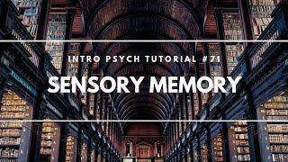 Sensory Memory (Intro Psych Tutorial #71)