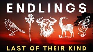 ENDLINGS - The Last One Before Extinction