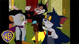 Tom & Jerry | Best of Cats!  | Animals Month | Classic Cartoon Compilation | @wbkids​