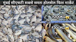 Biggest Cst Wholesale Fish Market | Cst Fish Market | Wholesale Fish Market In Mumbai 2023