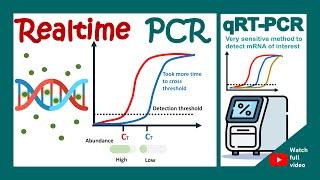 qPCR | qRT PCR | real-time quantitative PCR in 1 minute | biotechniques in 1 minute