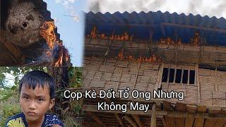 Thằng Cọp Kè Lấy Tổ Ong Ở Nhà Ông Năm Và Cái Kết