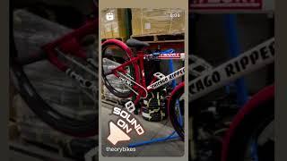 Theory Rattlesnake Freewheel singing  