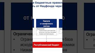 Как #правительство балансирует #госбюджет? #налоги #штрафы #казахстан #АскарКысыков