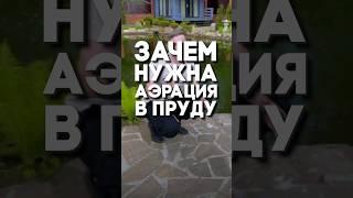 Зачем нужна система аэрации в пруду?