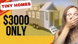 INCREDIBLE TINY HOMES. $3000 budget Tiny Cabin #incredible #incredibletinyhomes