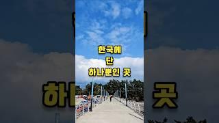  바다 위 신비로운 암자, 간월암! 물때는 왜 중요할까?
