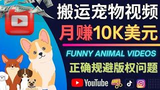 搬运TIKTOK视频到YouTube，并进行二次创作，月赚1万美元以上 – 宠物娱乐视频的搬运方法，如何正确规避版权问题，二创视频剪辑方法 – YouTube赚钱方法和技巧