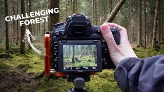 Making sense of the Forest: Photography with Nikon D750