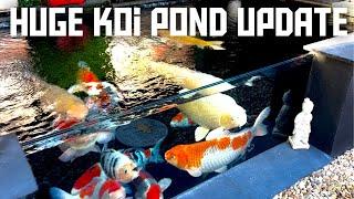 HUGE UPDATE ON THE ALL MY KOI PONDS **2025 IS GOING TO BE A GREAT YEAR**