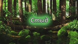 Совесть и стыд в психике человека