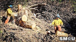 𝗛𝗘𝗥𝗢𝗘𝗦 𝗔𝗧 𝗪𝗢𝗥𝗞: Firefighters Clear Palisades Bluff After Devastating Wildfire