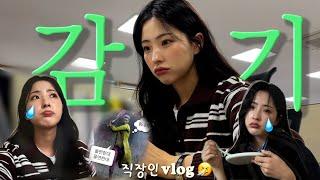 직장인 VLOGㅣ울면한대~ 울면한대~ㅣ원래 30대는 감기가 이렇게 안낫나요?ㅣ몸보신 도시락(삼계탕/장어덮밥)ㅣ아파서 먹는걸까 먹으려고 아픈걸까ㅣ새로운 친구가 생겼어요‍️