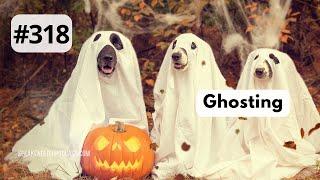 318 Ghosts, Ghosting — Halloween 2024