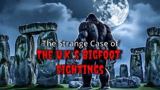 The UK's Unbelievable Bigfoot Sightings