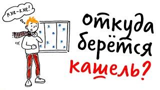 Откуда берётся КАШЕЛЬ? — Научпок