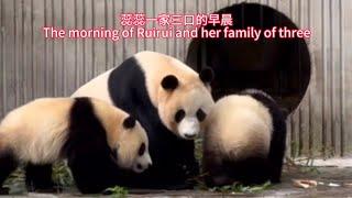 蕊蕊一家三口的早晨The morning of Ruirui and her family of three