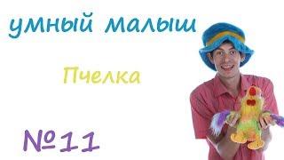 Умный малыш. Пчелка