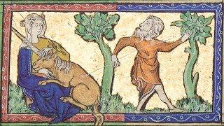 Pourquoi les animaux des enluminures sont-ils si bizarres ? - Booktubes du Patrimoine - S02E03