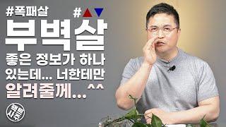 부벽살 - 한방인생을 원하십니까? - 팩트사주 - 백운도령