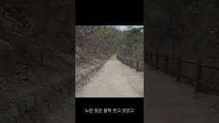 아무 일도 없던 날의 산책 #감성내레이션
