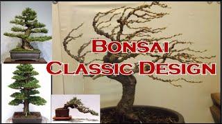 What are the Classic Bonsai Design and Styles