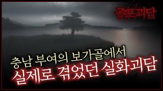 충남 부여의 보가골에서 실제로 겪었던 실화괴담