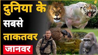 दुनिया के 10 सबसे ताकतवर जानवर | Top 10 Strongest Animals In The World | Biggest animals of Earth