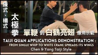 陳式、楊式太極拳單鞭-白鶴亮翅應用示範Chen & Yang Taiji Applications: From Single Whip to White Crane Spreads its Wings