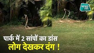 7 बज गए: News Tak Top 5 #NewsTak