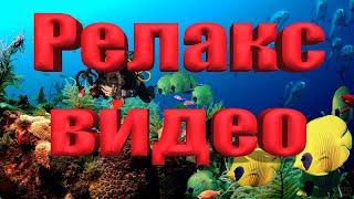 Приятное видео для релакса #travel #traveling #relaxing #relax #океан #diving #релакс #путешествия