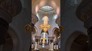 What is there inside Abu Dhabi Mosque ??? Architectural Treasure #shorts #youtubeshorts