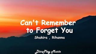 Shakira ft Rihanna - Can't Remember to Forget You (lyrics)