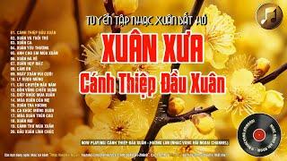 Lk Cánh Thiệp Đầu Xuân - Nhạc Xuân Xưa Thập Niên 90' Hải Ngoại Xưa Nhiều Danh Ca Hội Tụ