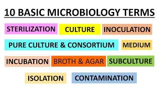 Basic Terms used in Microbiology | Class for Microbiology Freshers | Concepts in Microbiology |