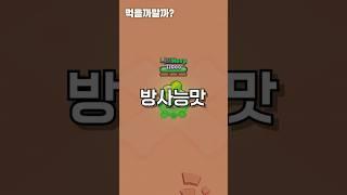 엘프리모 먹을까 말까?
