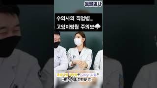 수의사의 직업병 | 동물의사 Animal Doctor #수의사