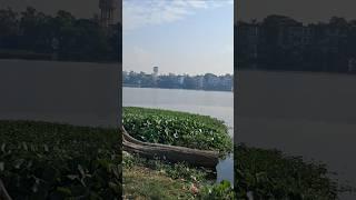 #apna bana le..#beautiful scenario#nature#nature love#shorts