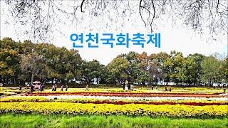 [연천국화축제] 연천가볼만한곳, 서울근교 가을여행