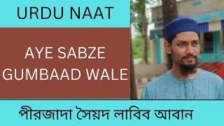 Aye Sabze Gumbaad Wale Urdu Naat Syed Labib Aban