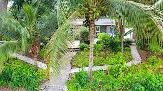 Ultra-Tropical ECO-Landscape Transformation (9 Month Follow-Up in St. Pete)