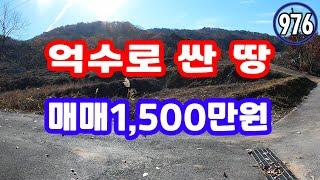 경북땅 매매1천5백만원, 급매물과 반값매매 평당8,287원 급다운 급매물 시골생활 시골 땅 주택지 싼 자연인 토지 매매, 싼 땅 산촌생활 산 골 땅 산 촌 예천부동산